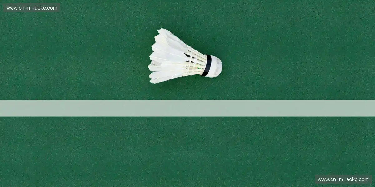 赛事画面维持亮度柔和自然